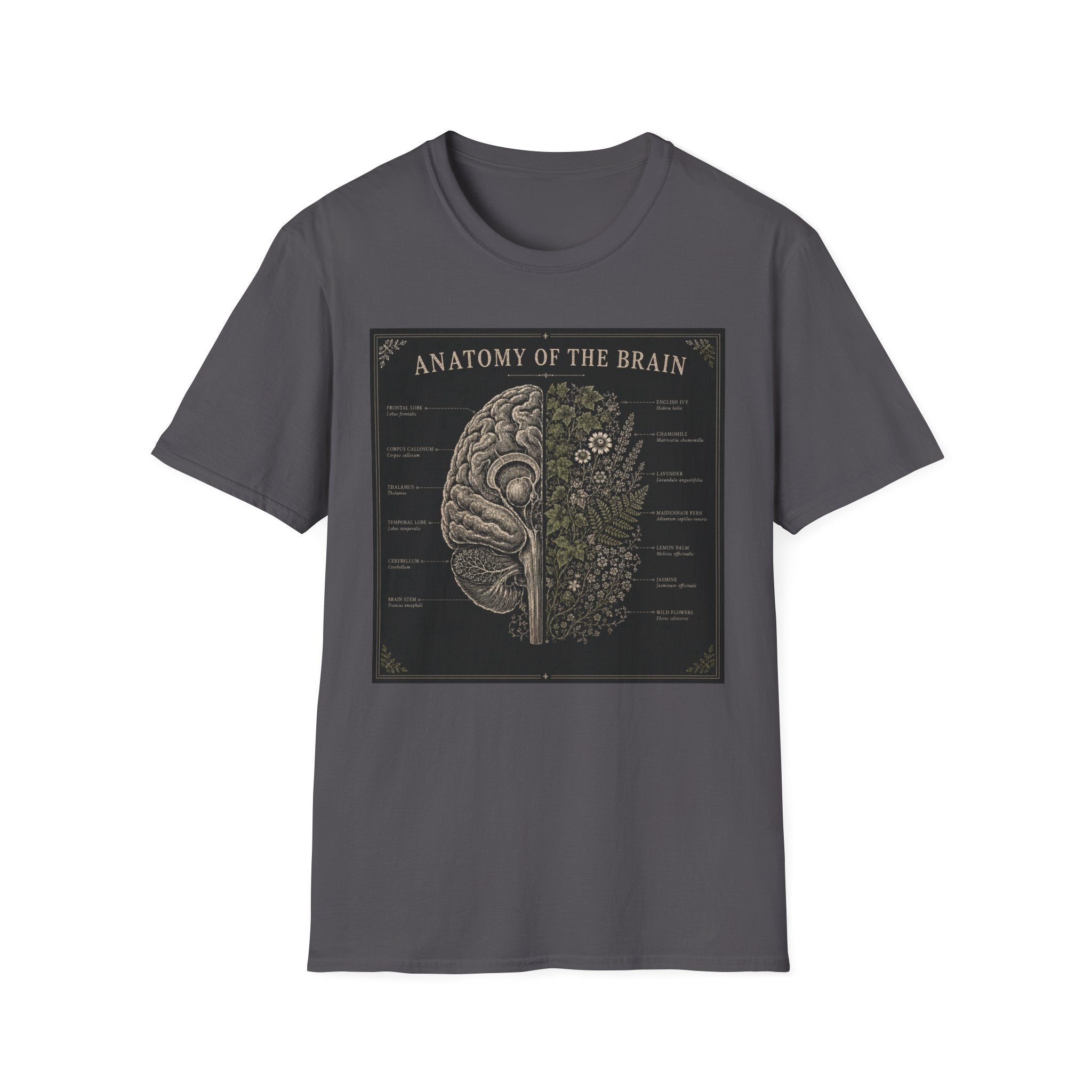 Anatomy of the Brain T-Shirt Vintage Science Diagram Tee