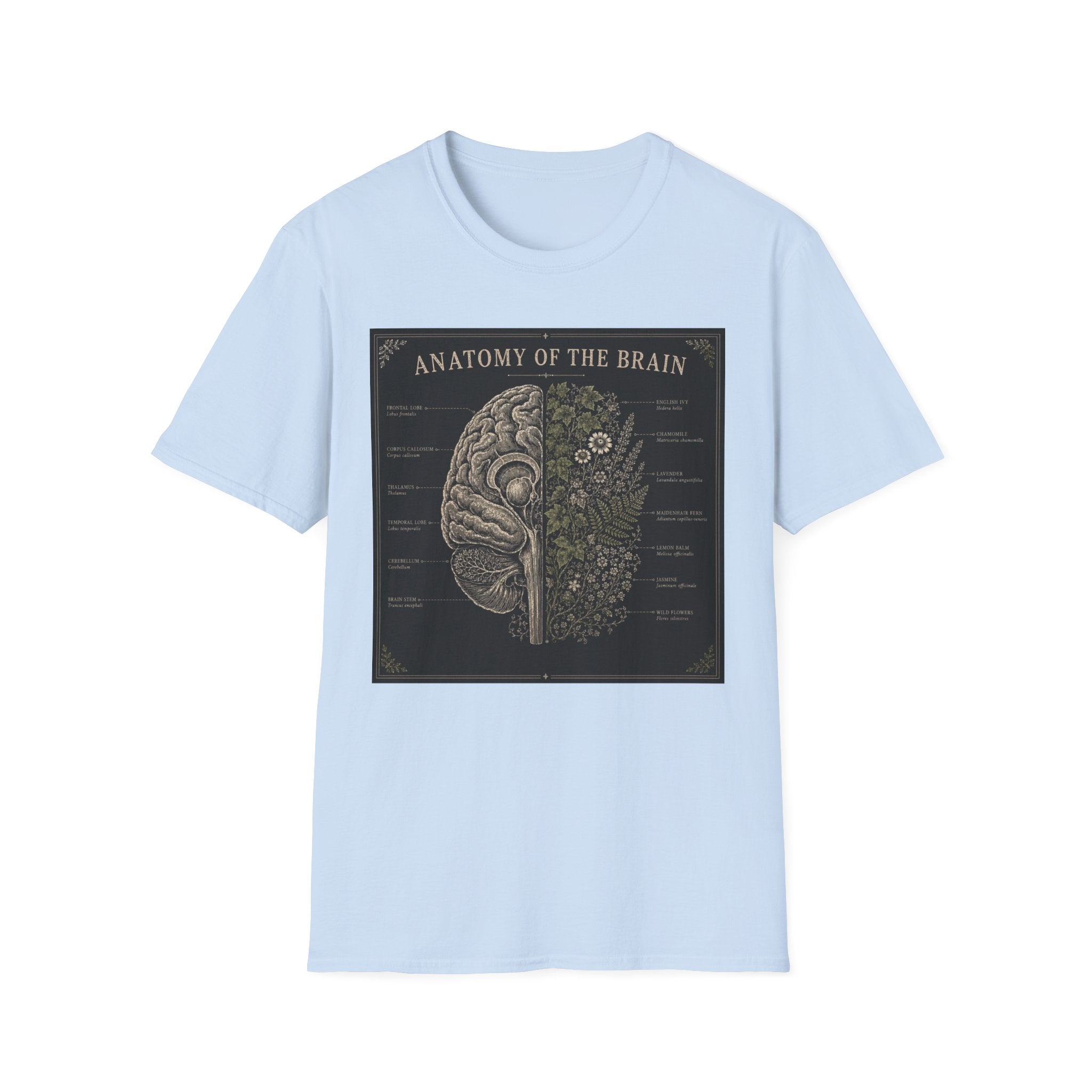 Anatomy of the Brain T-Shirt Vintage Science Diagram Tee