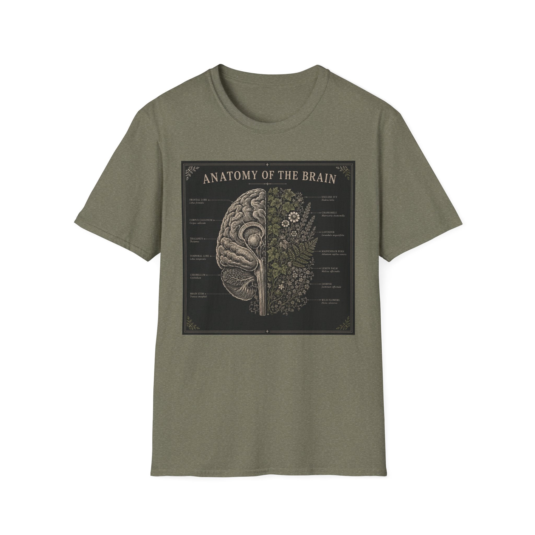 Anatomy of the Brain T-Shirt Vintage Science Diagram Tee