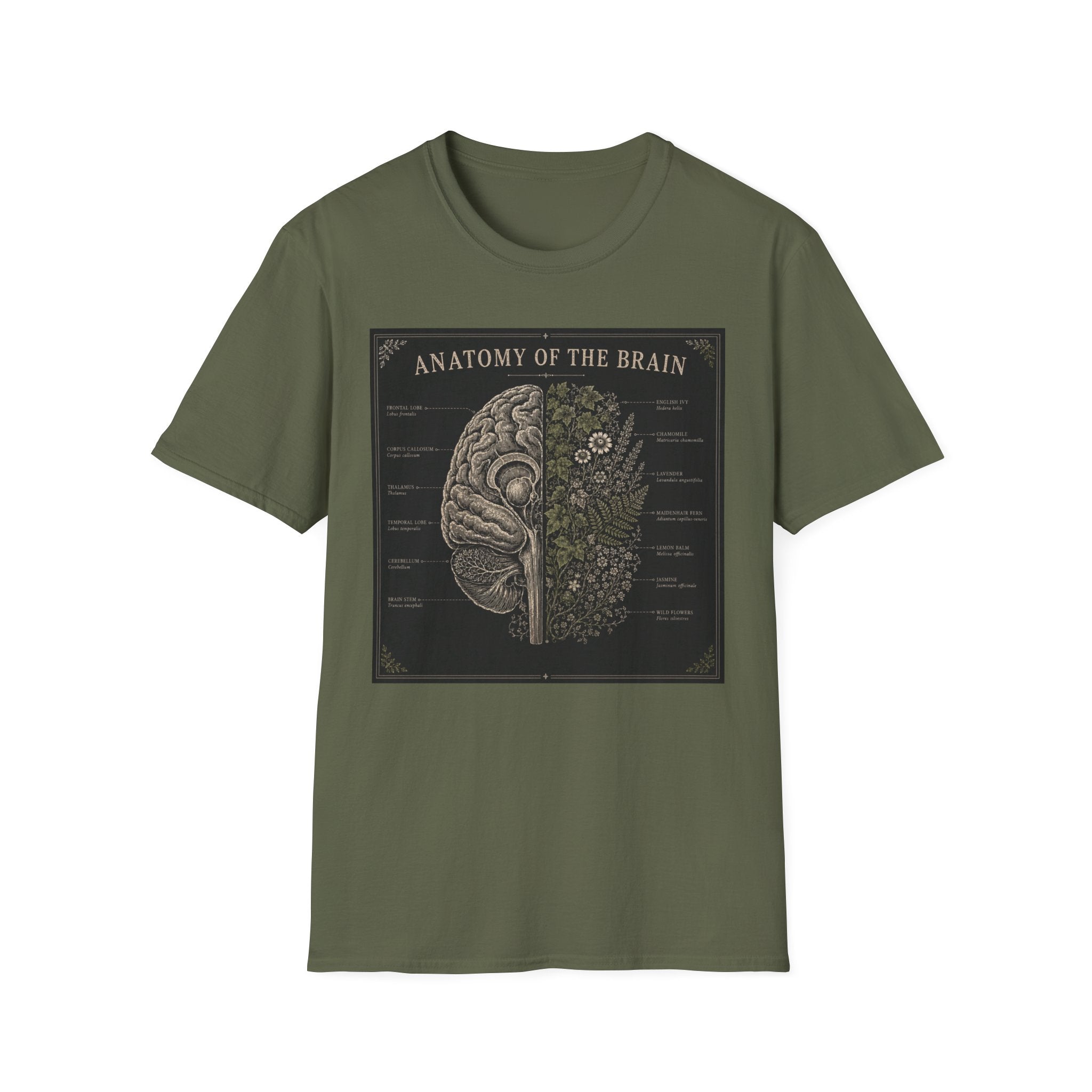 Anatomy of the Brain T-Shirt Vintage Science Diagram Tee
