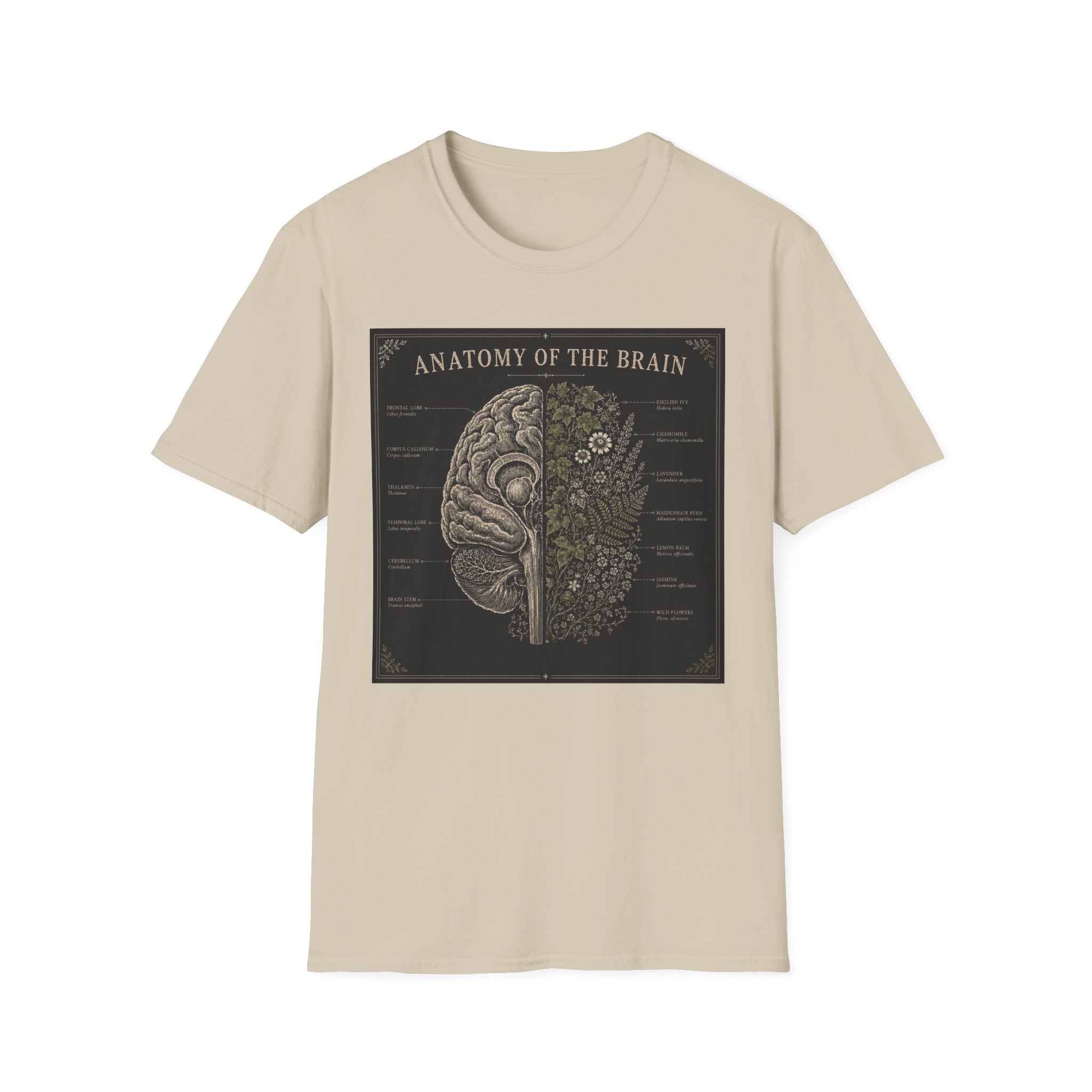 Anatomy of the Brain T-Shirt Vintage Science Diagram Tee