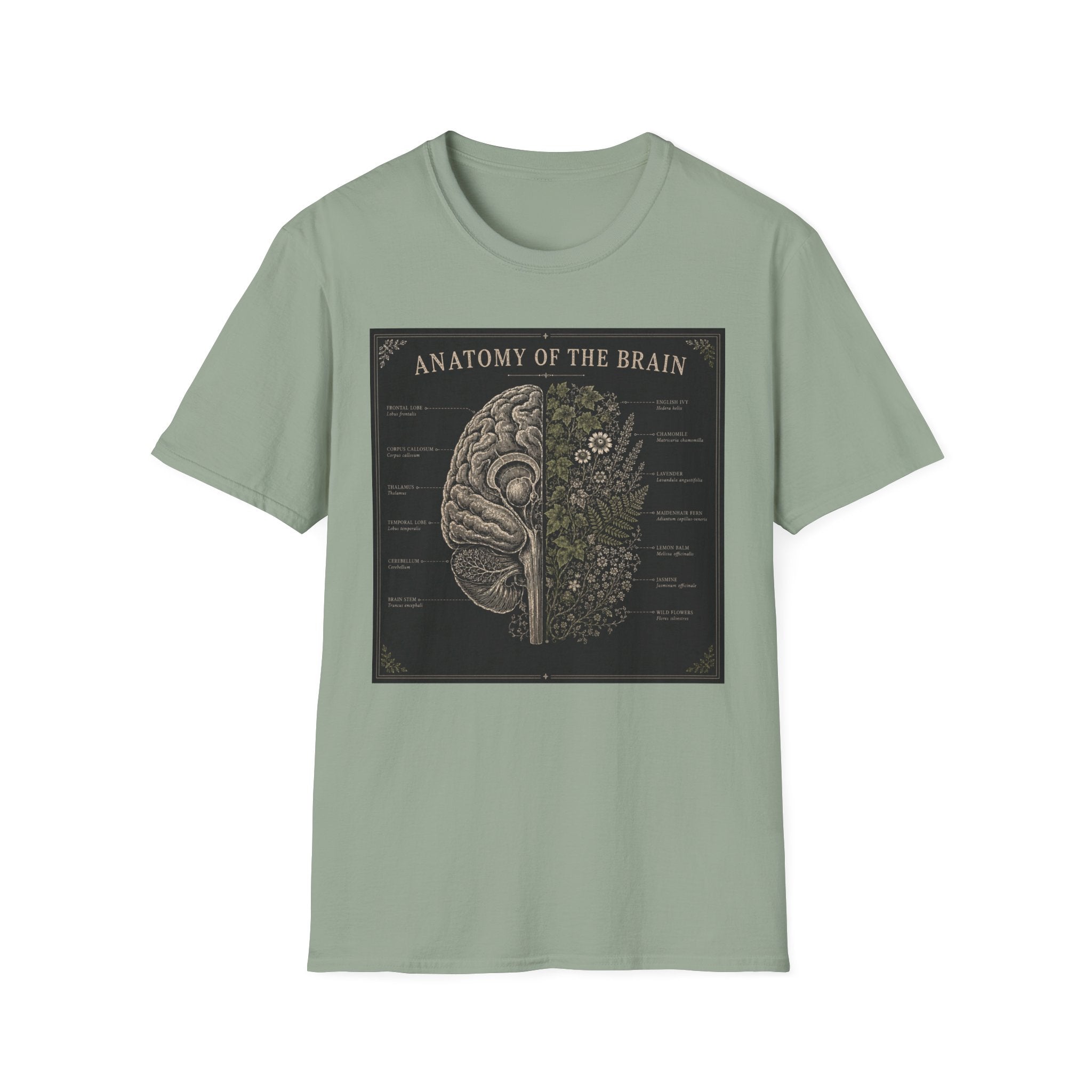 Anatomy of the Brain T-Shirt Vintage Science Diagram Tee